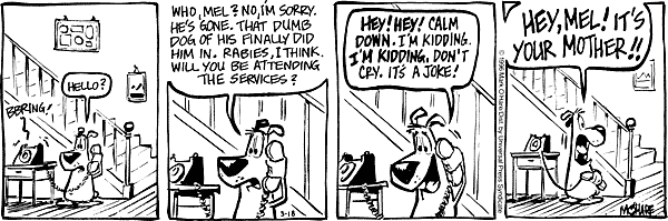 citizendog
